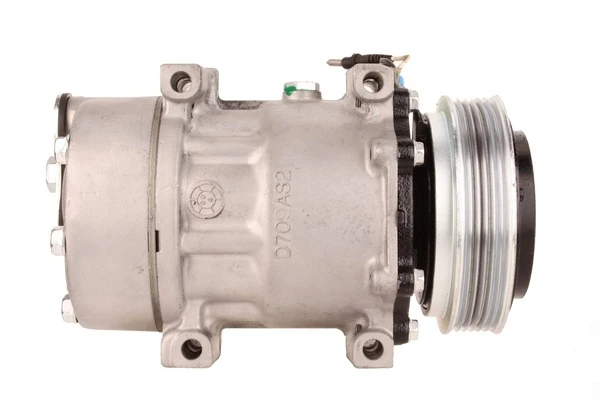 Compresor SANDEN Renault Laguna con polea de 119 mm y 6 ranuras